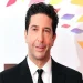 David Schwimmer