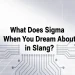 what does sigma mean